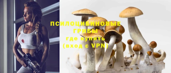 мдпв Осинники