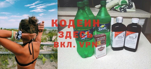 дмт Болотное