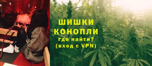 мдпв Осинники