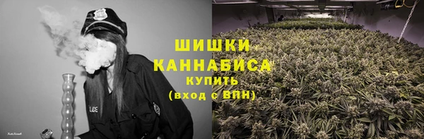 PSILOCYBIN Остров