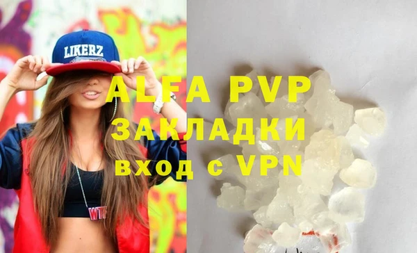 ECSTASY Пересвет