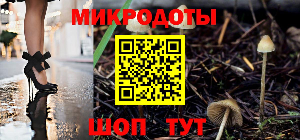 Боровичи  цены   Вход с VPN  Галлюциногенные грибы прущие грибы 