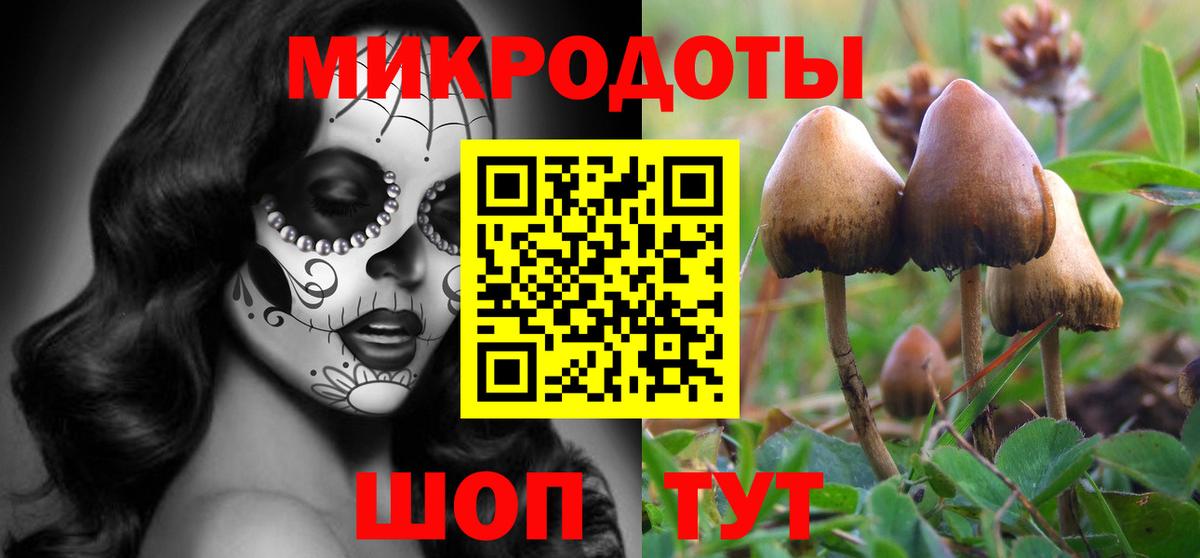 Галлюциногенные грибы прущие грибы Боровичи