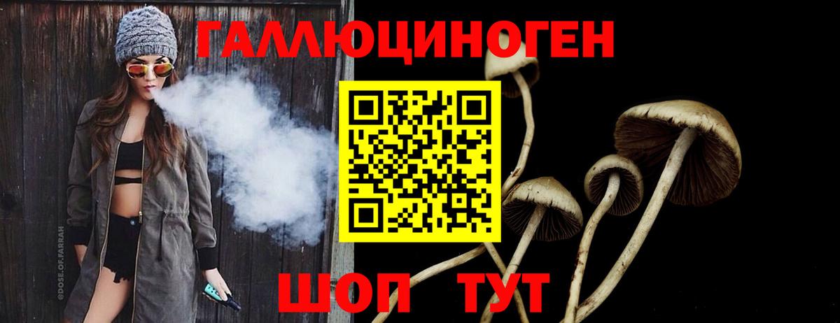 Галлюциногенные грибы мицелий  где продают   Боровичи  Псилоцибиновые грибы ЛСД 